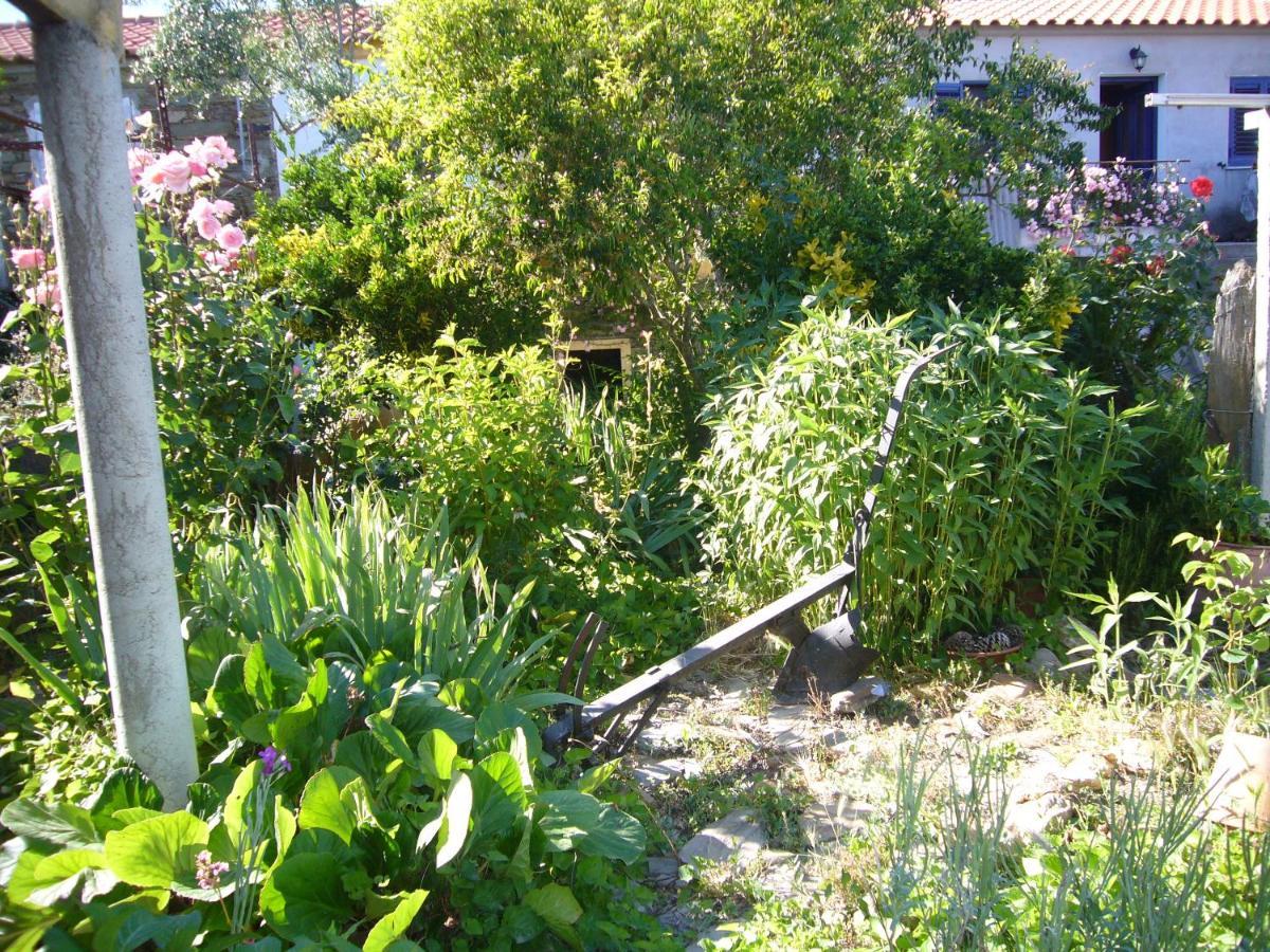 Casinha Da Aldeia Villa Castelo Branco  Exterior photo