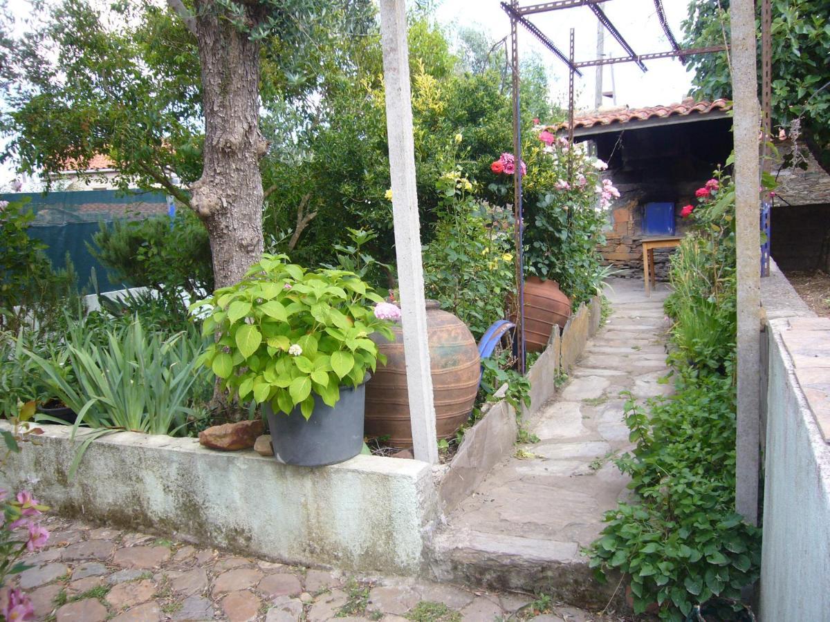 Casinha Da Aldeia Villa Castelo Branco  Exterior photo