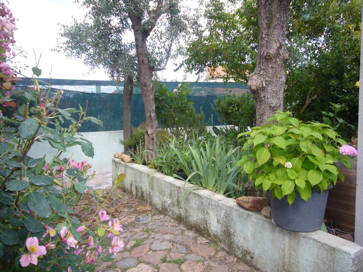 Casinha Da Aldeia Villa Castelo Branco  Exterior photo